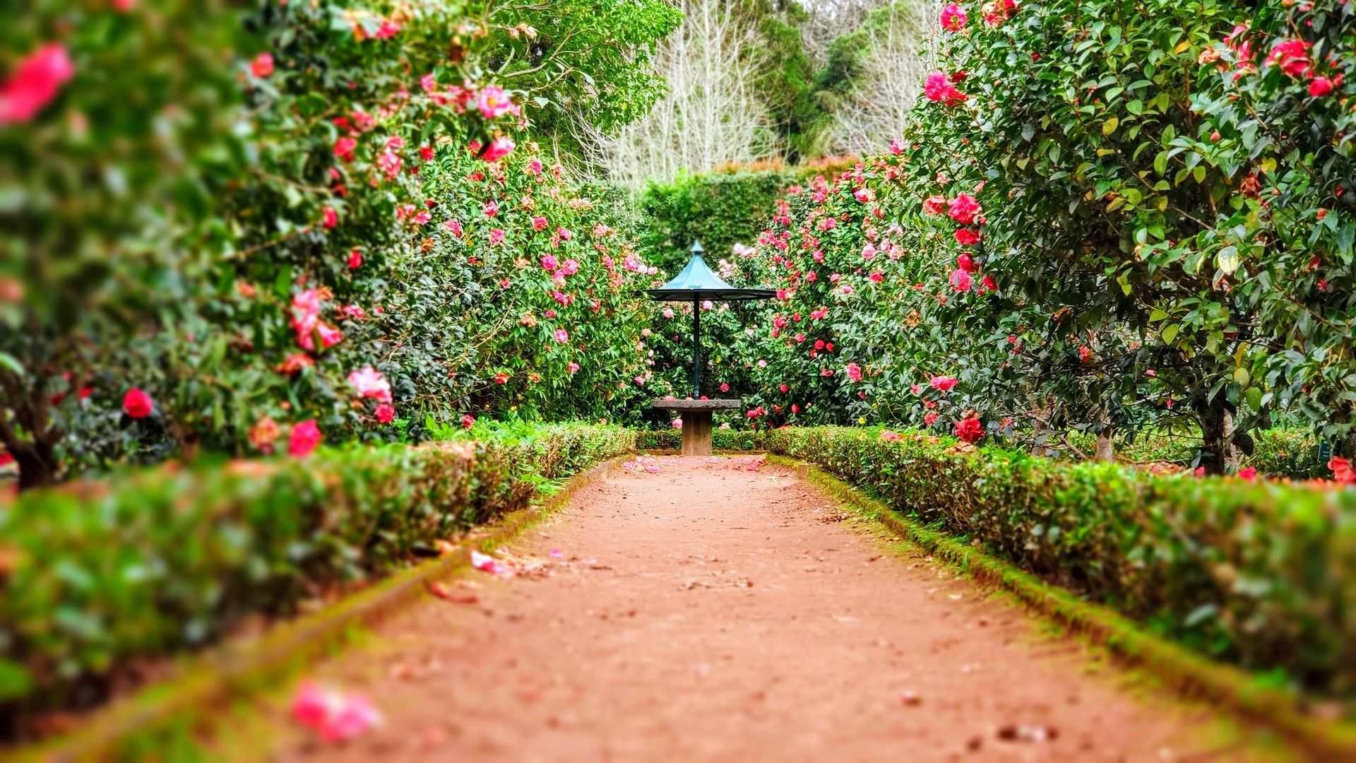 Landscaper